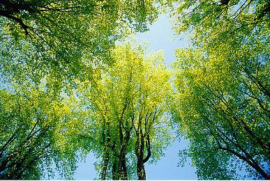 一个时代结束 任天堂3DS和Wii U在线游戏服务终止